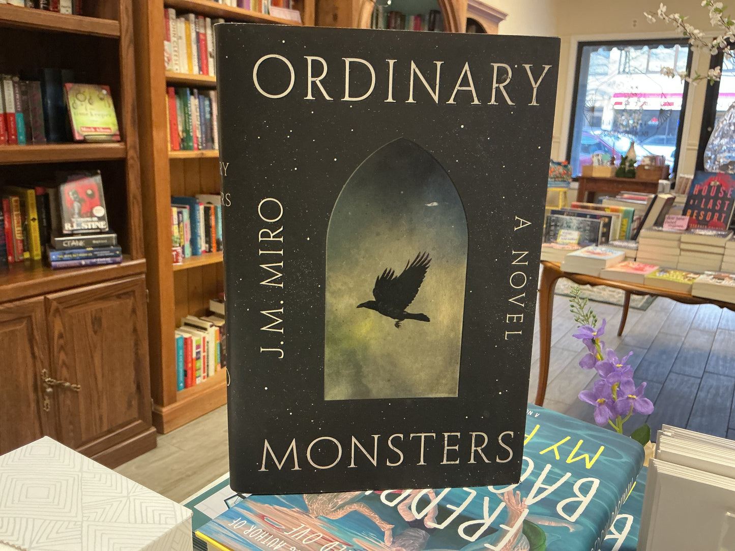 Ordinary Monsters