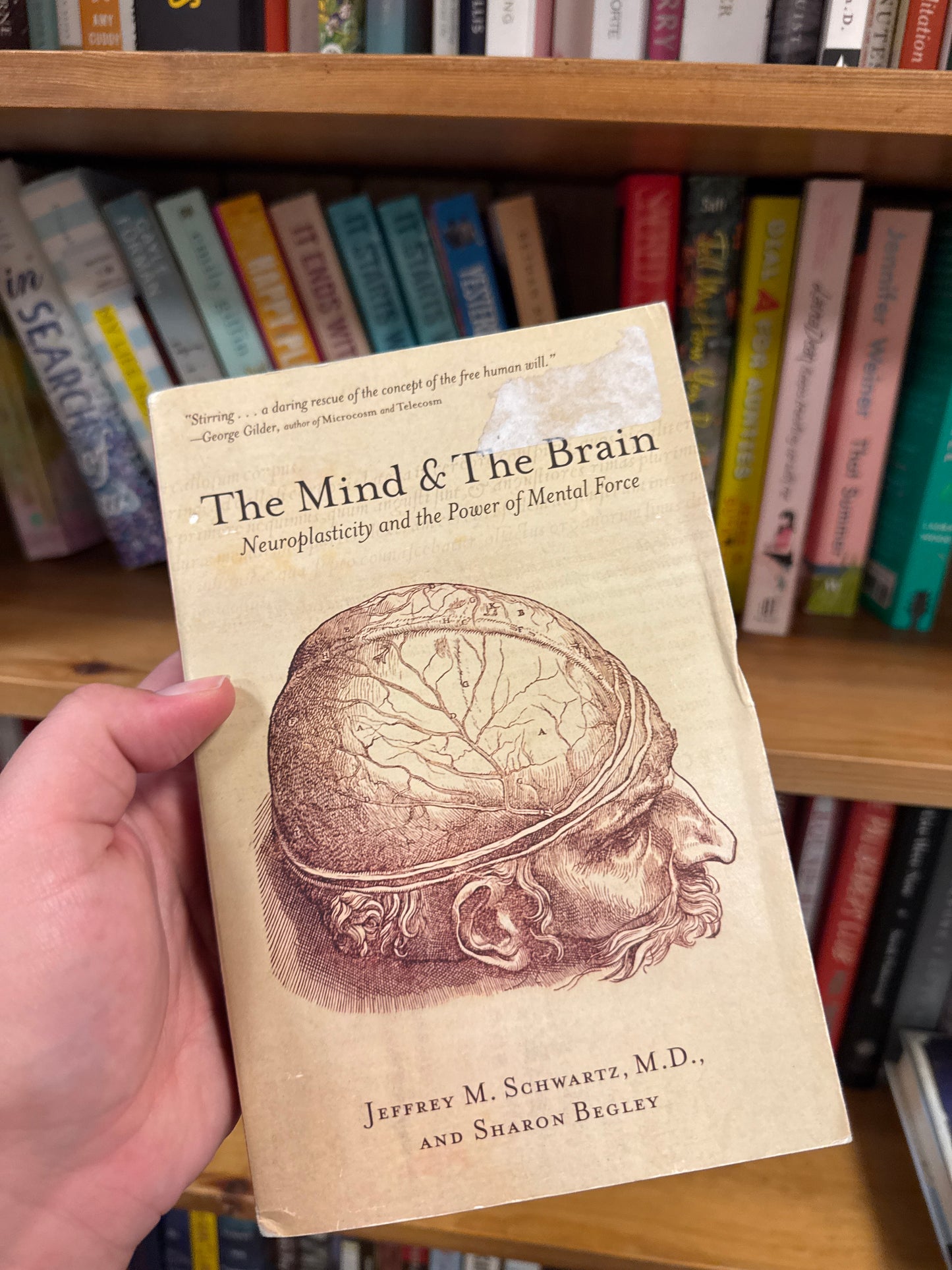 The Mind & The Brain
