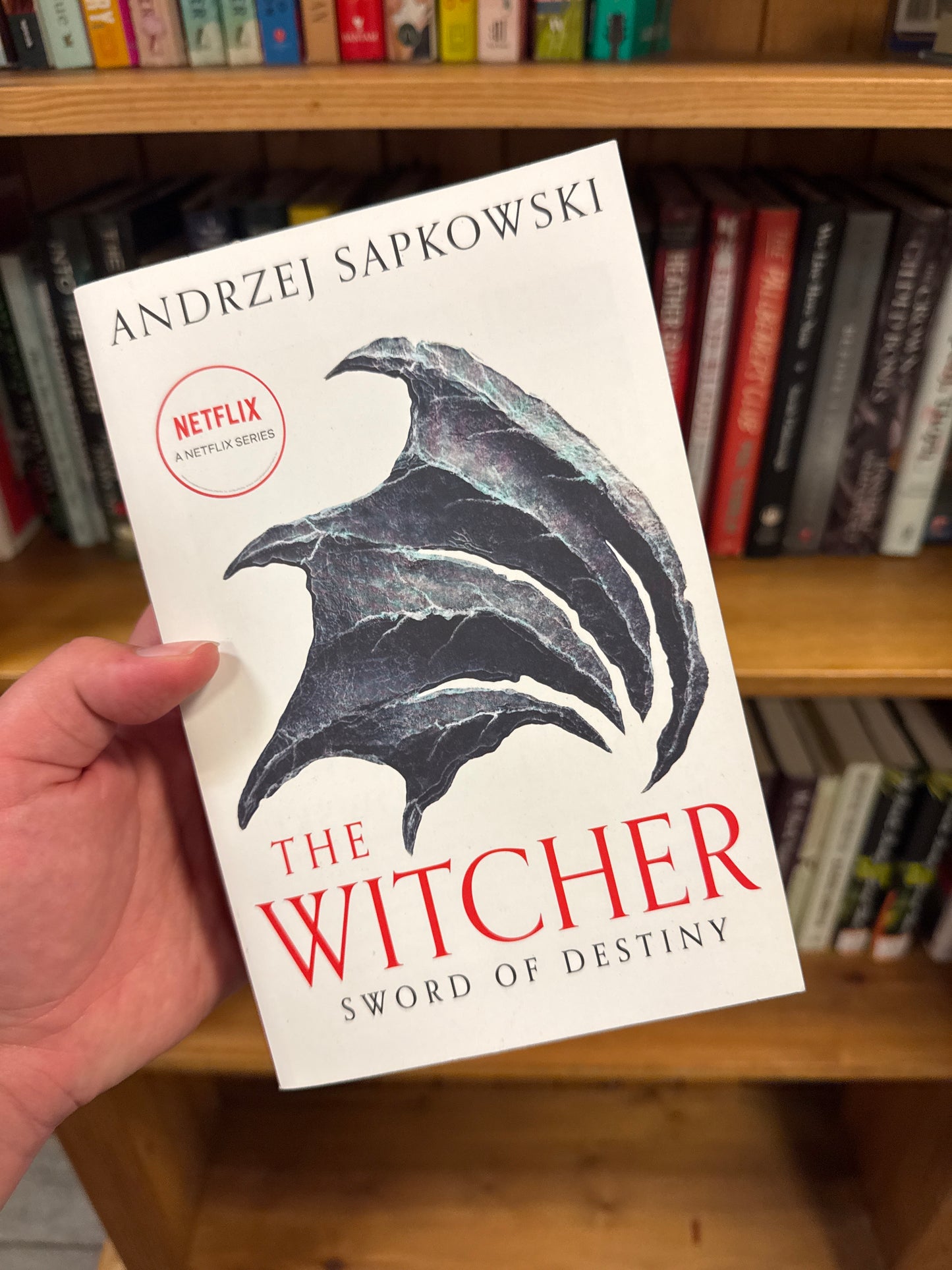 The Witcher: Sword Of Destiny