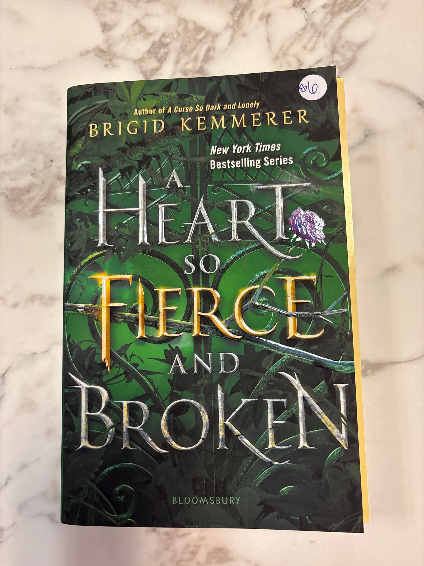 A Heart so Fierce and Broken