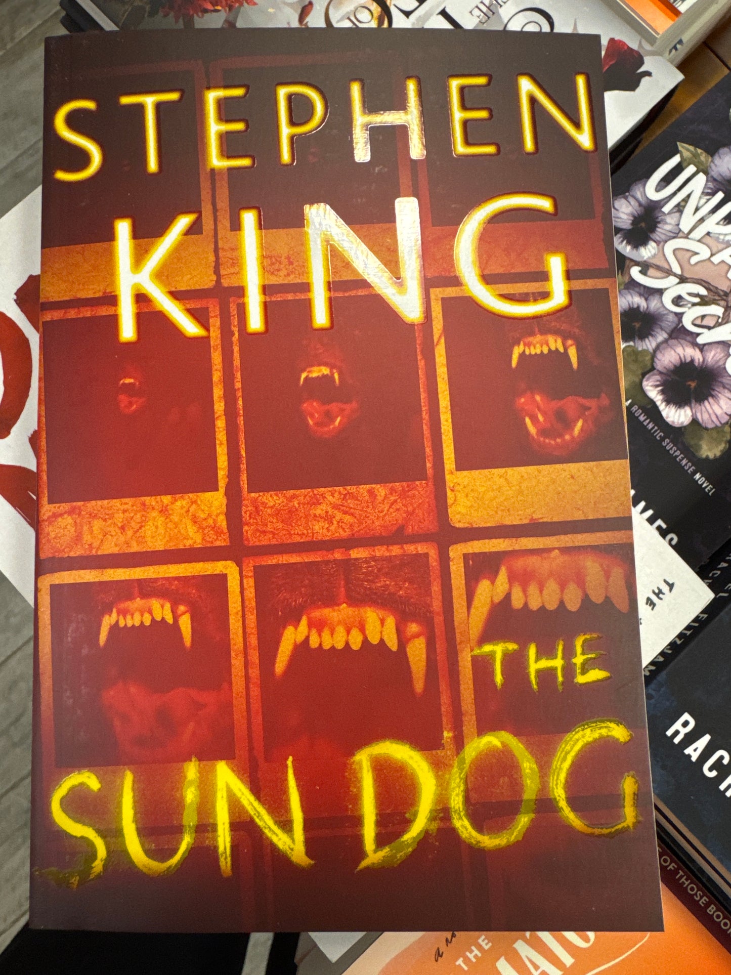 The Sun Dog