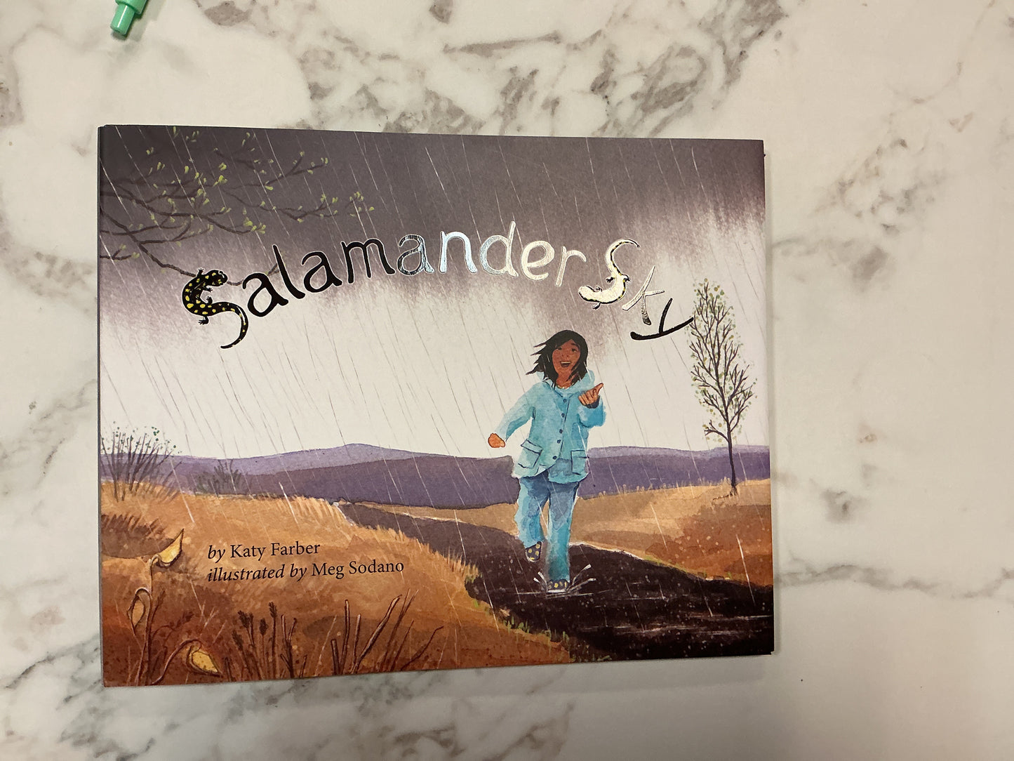 Salamander Sky
