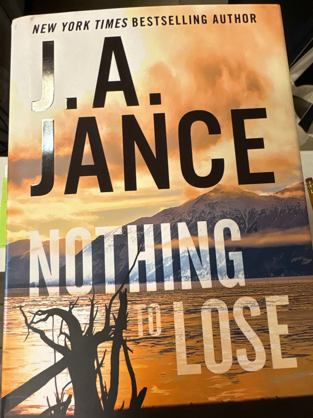 Nothing to Lose