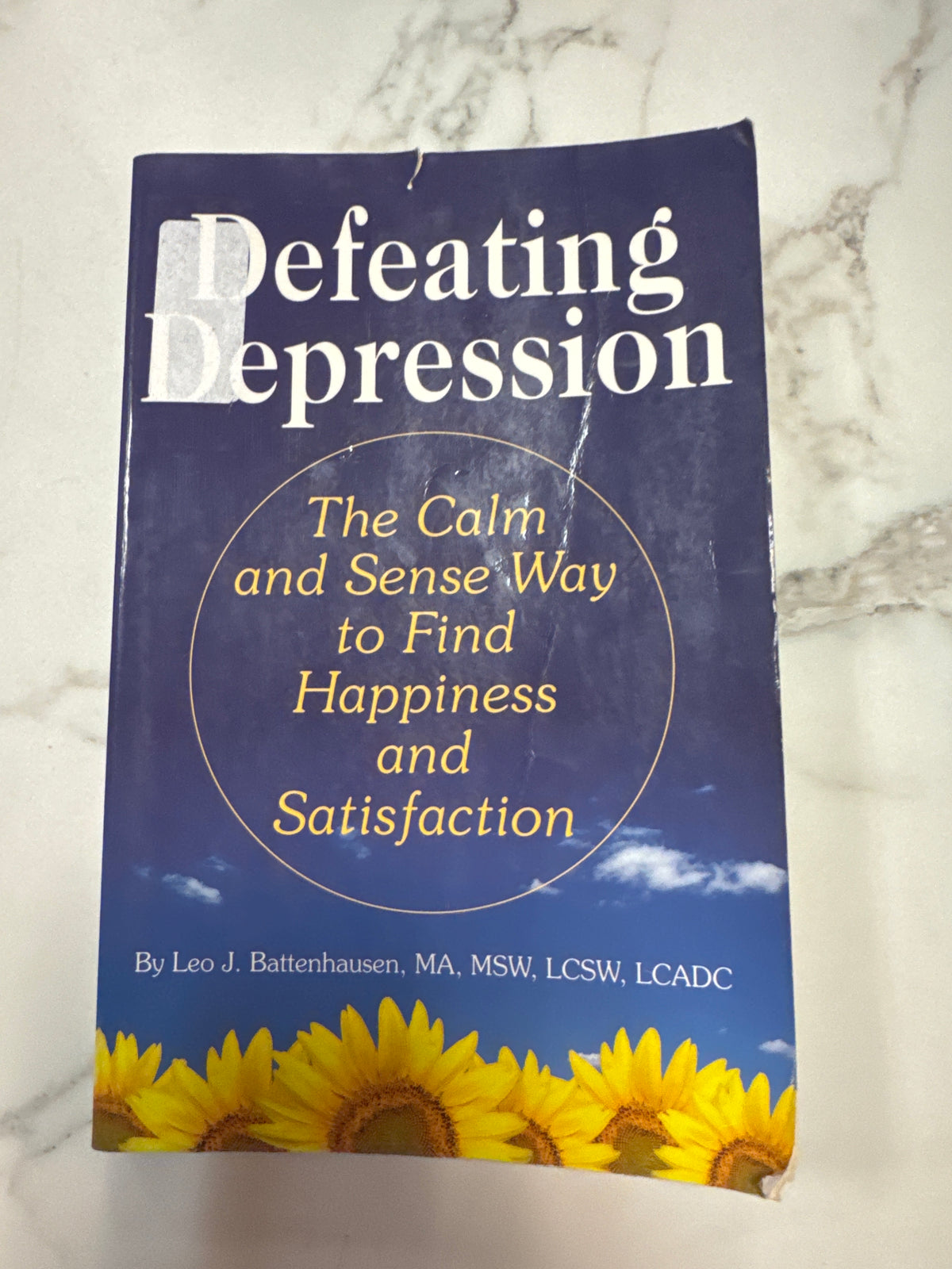 Defeating Depression paperback book by Leo Battenhausen with sunflower cover design