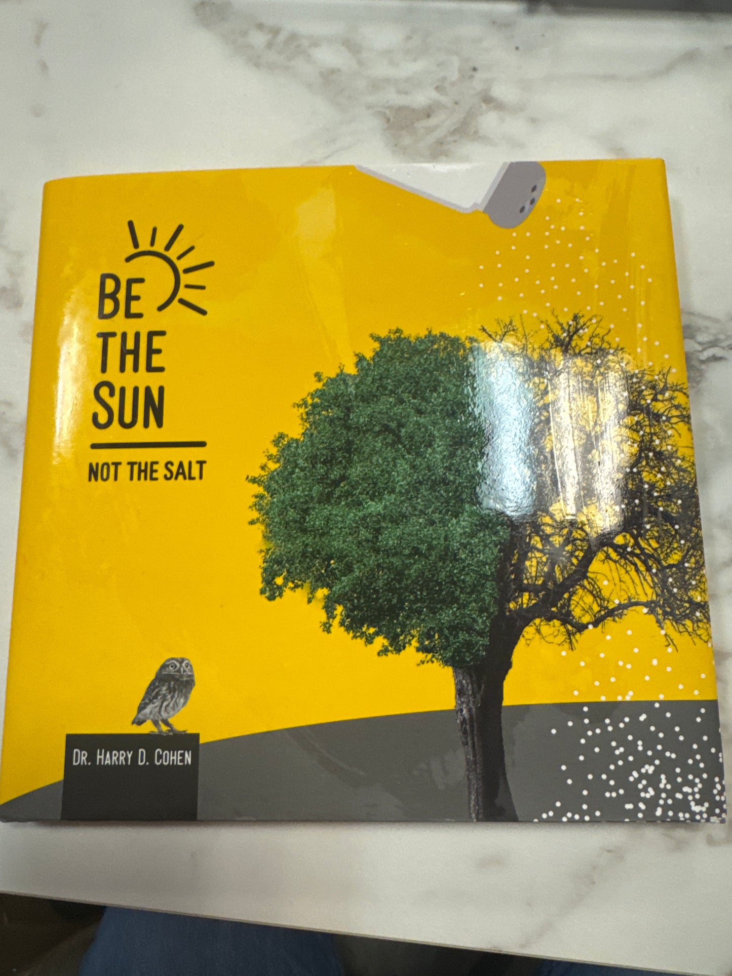 Be the Sun Not The Salt