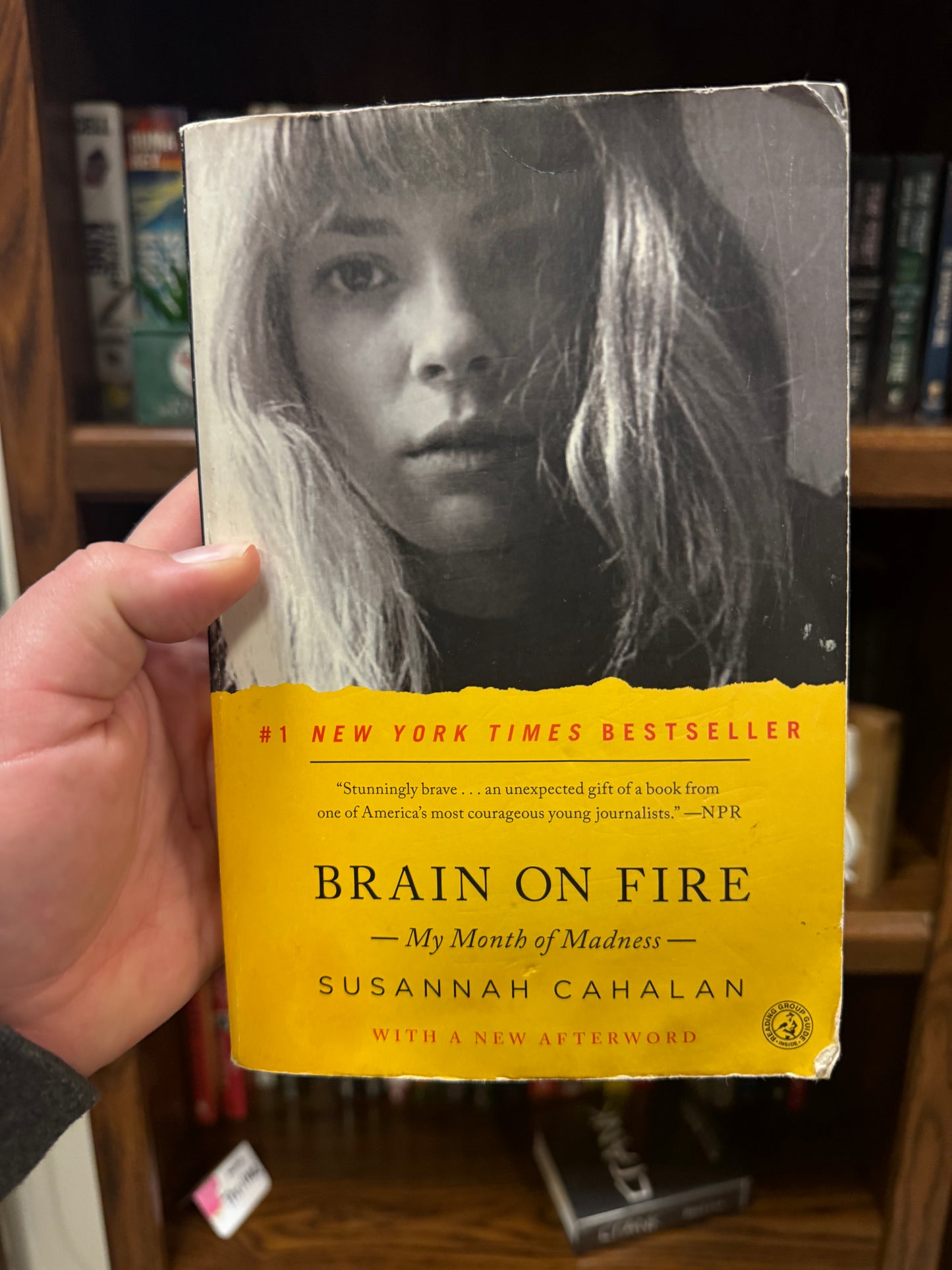 Brain on Fire