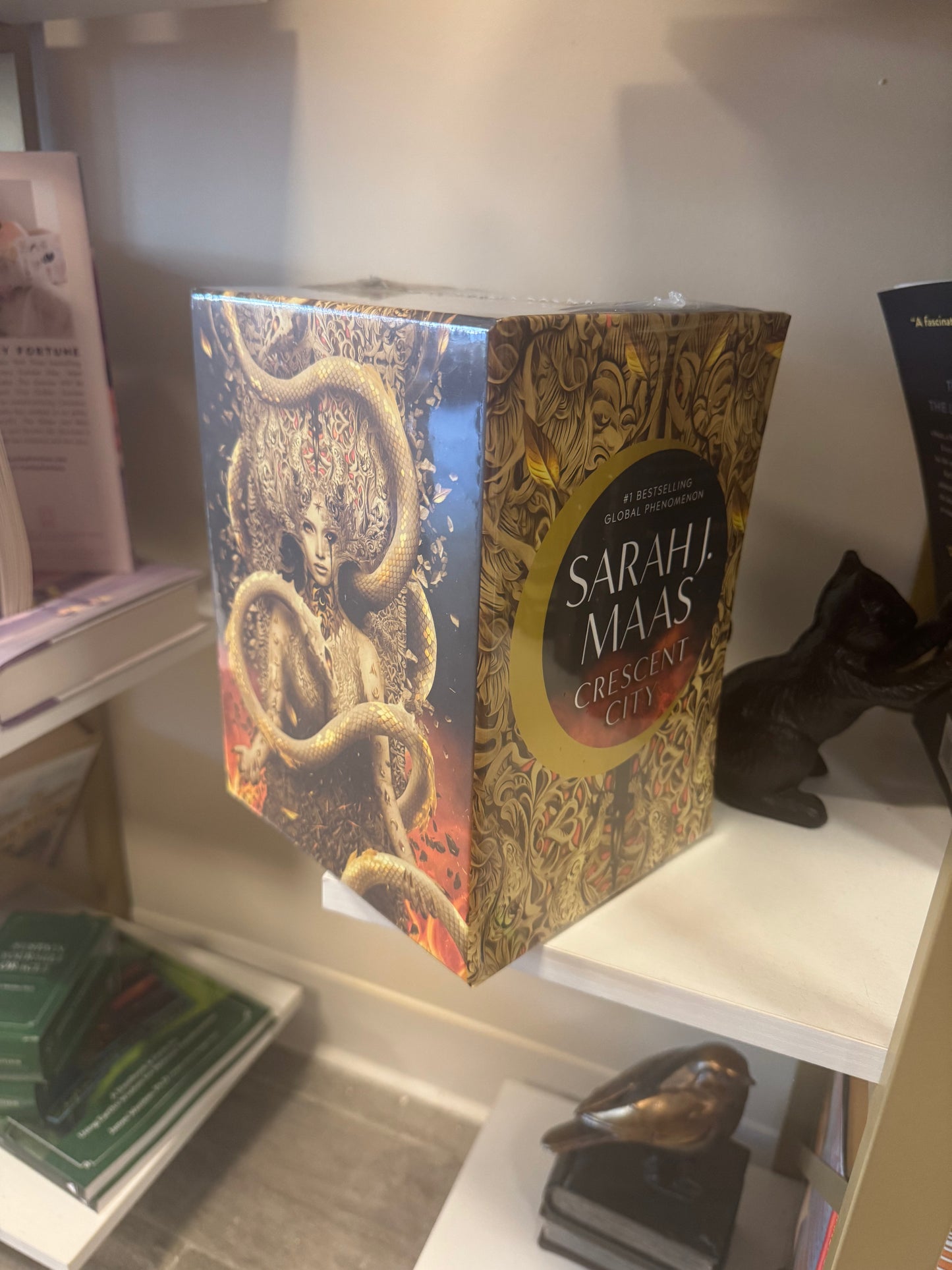 Crescent City Box Set