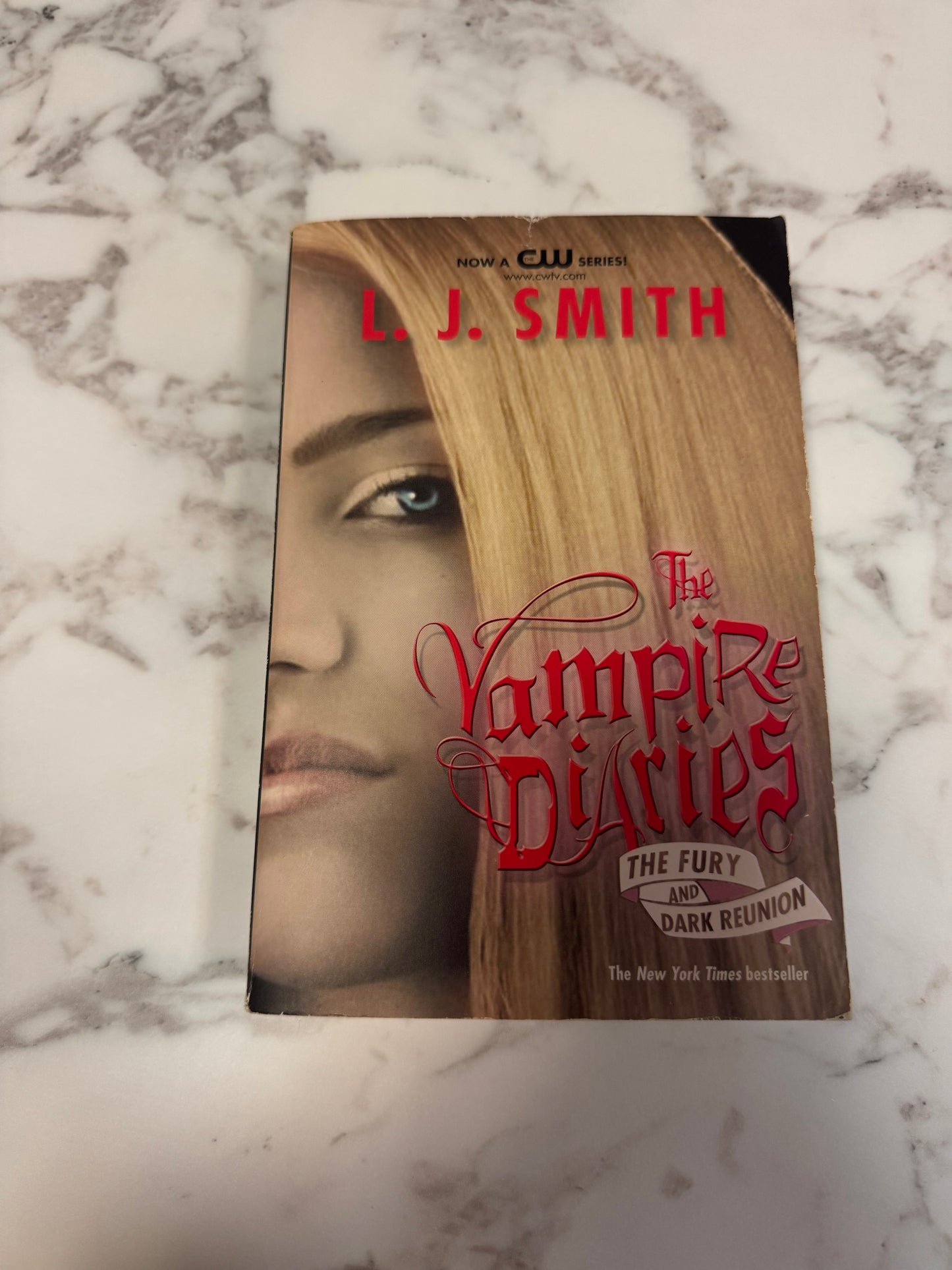 The Vampire Diaries The Fury and Dark Reunion paperback book by L.J. Smith