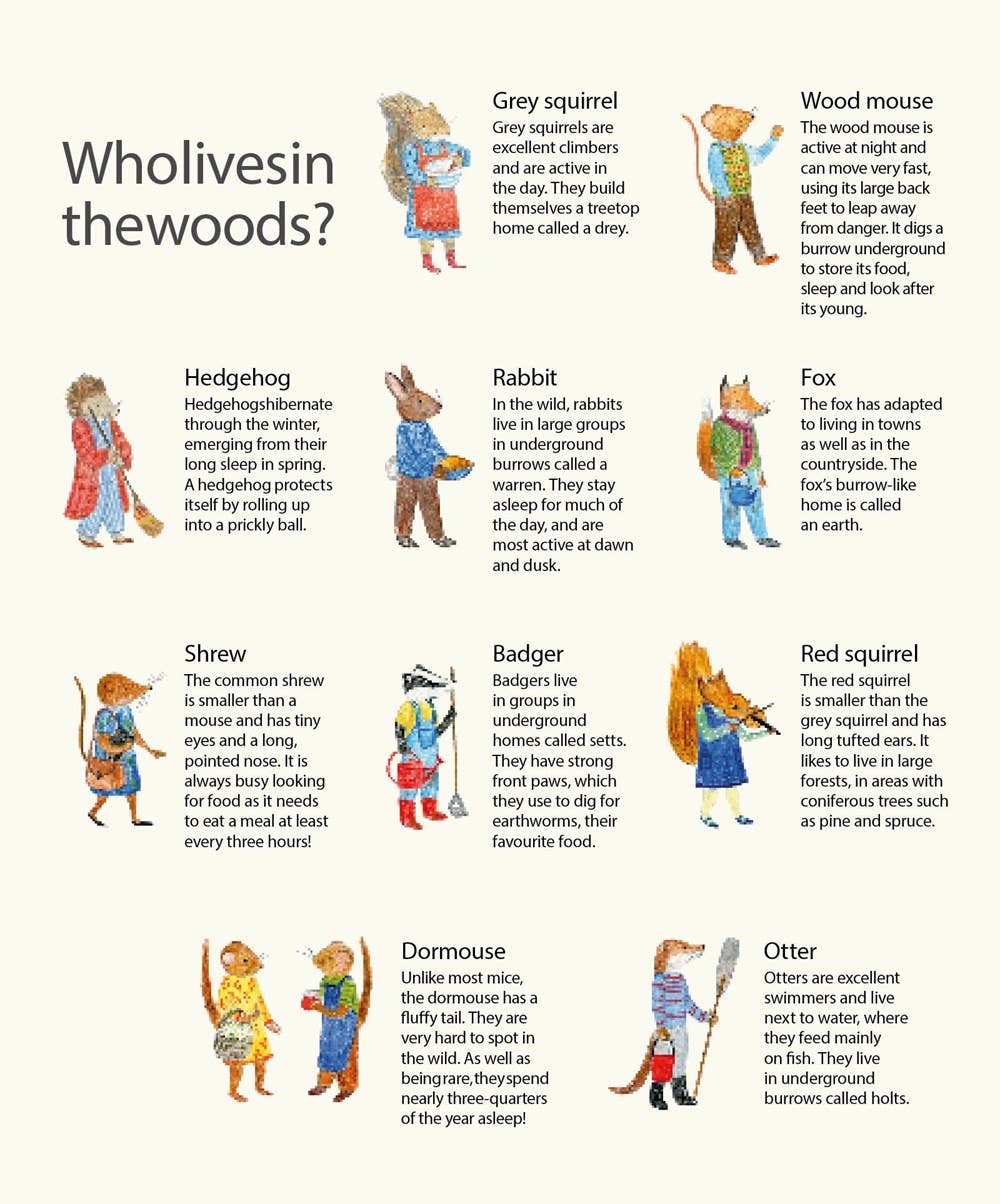 Mouse's Wood: A Year in Nature: Hardcover