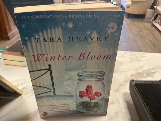 Winter Bloom