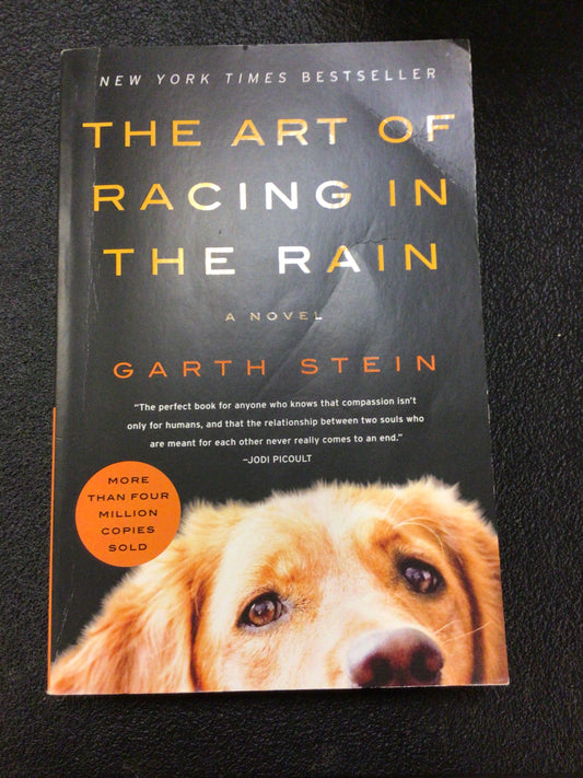 The Art of Racing in the Rain