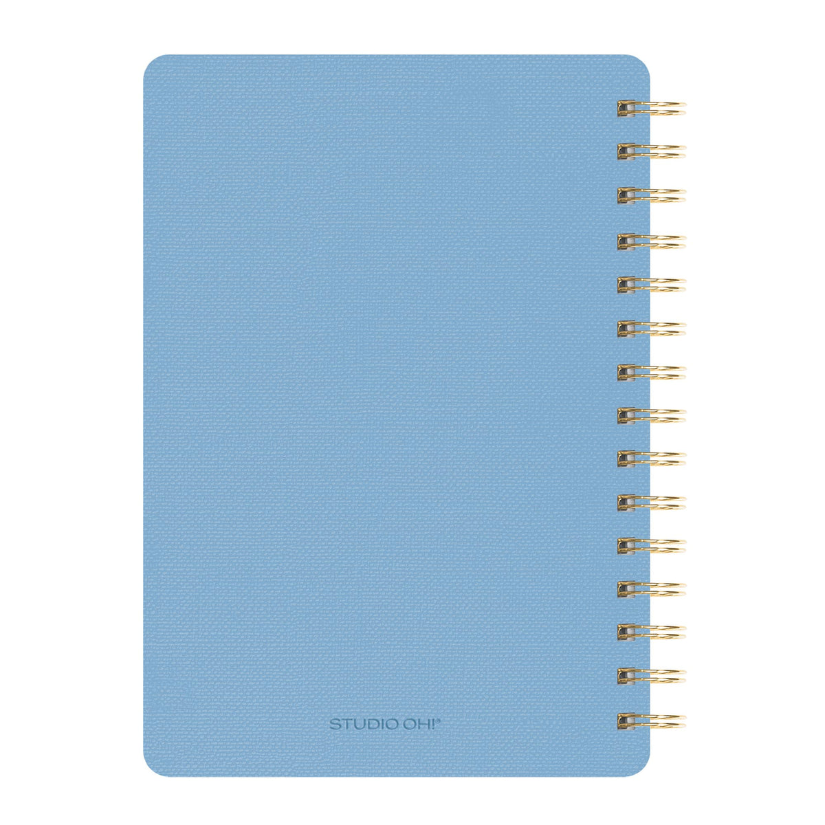 Organized Chaos (Sky Blue) Agatha Notebook