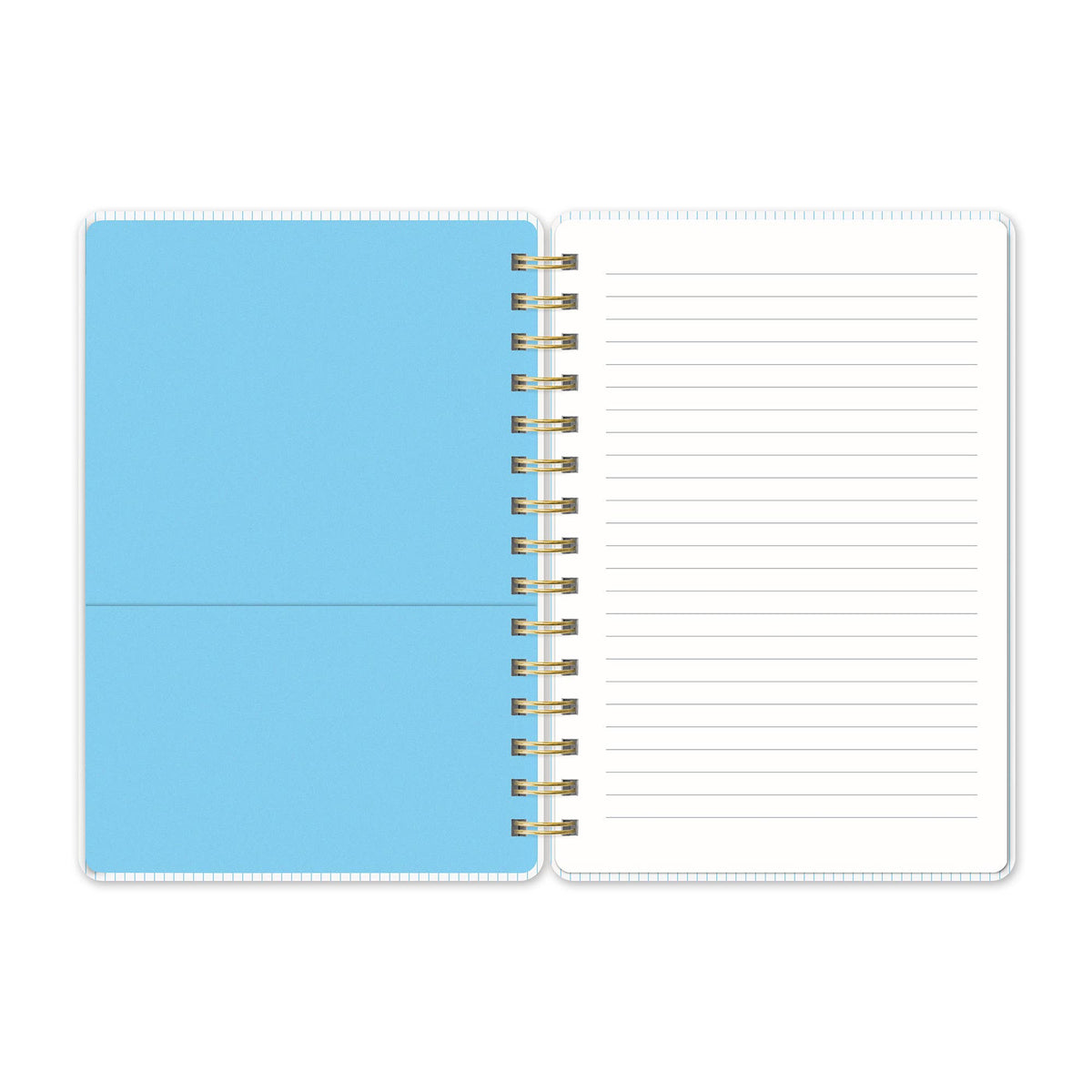 Organized Chaos (Sky Blue) Agatha Notebook