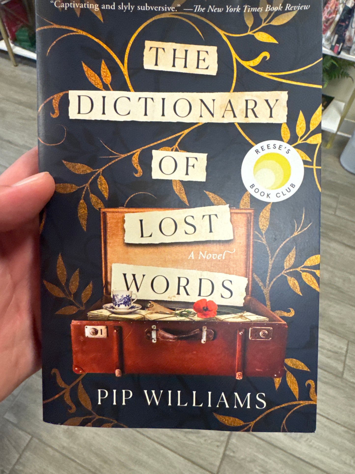 The Dictionary of Lost Words
