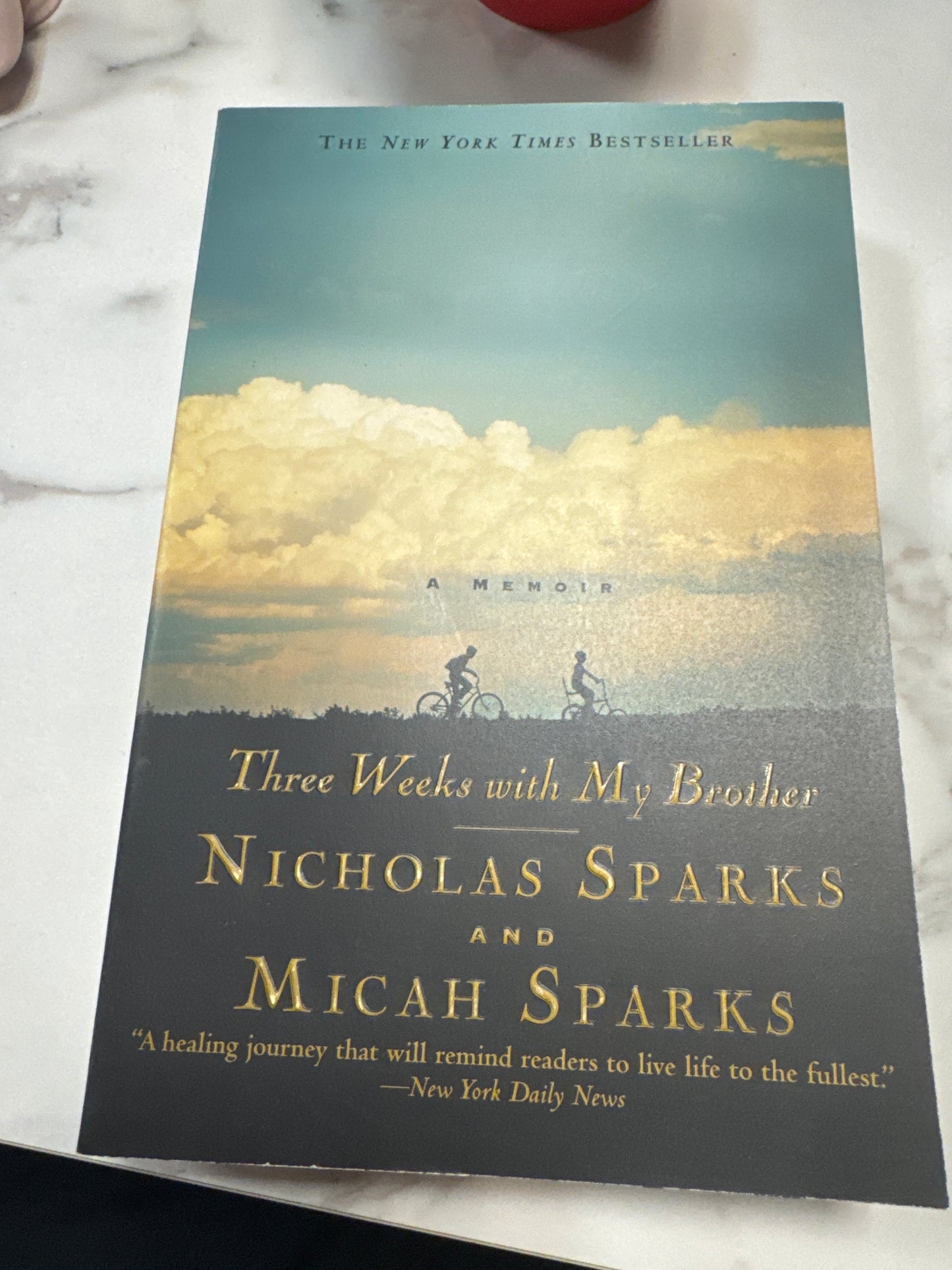 Three Weeks with My Brother