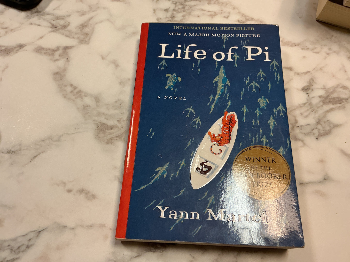 Life of Pi