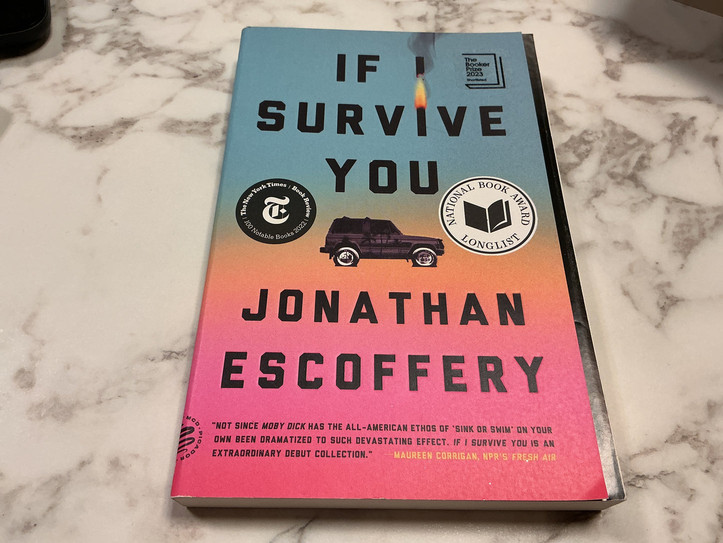 If I Survive You