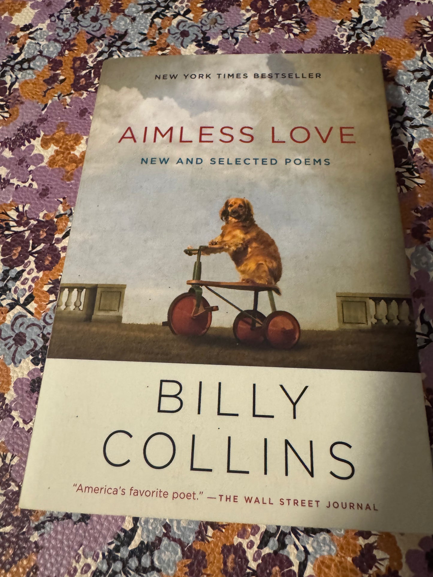 Aimless Love