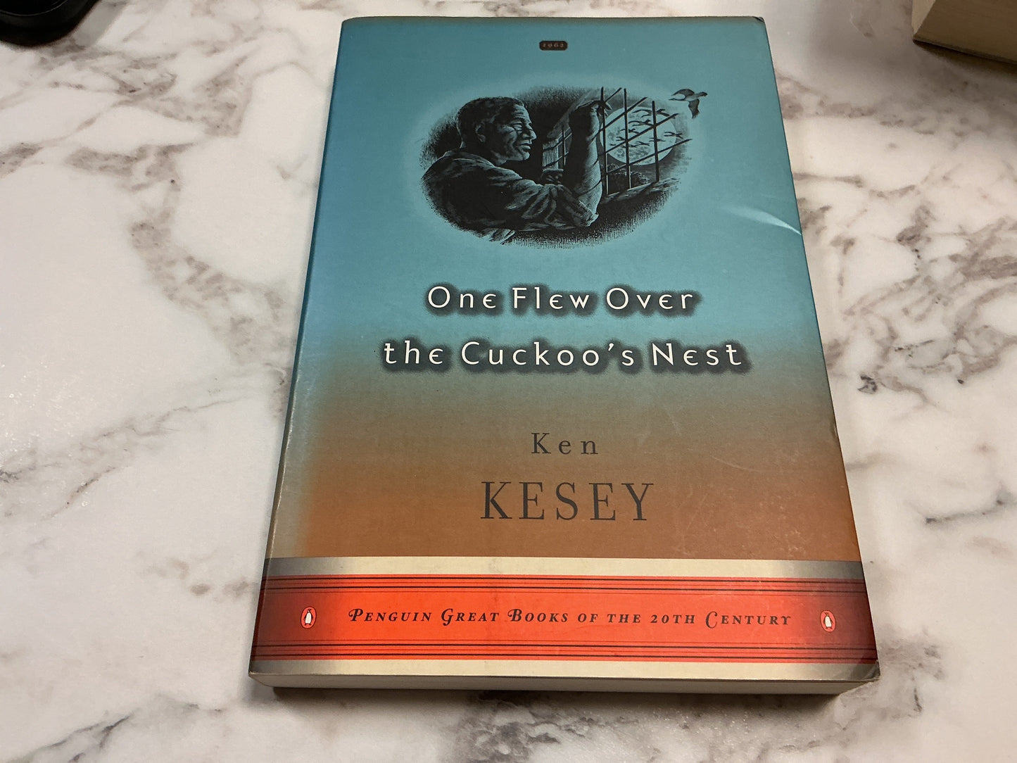 One Flew Over the Cuckoo’s Nest