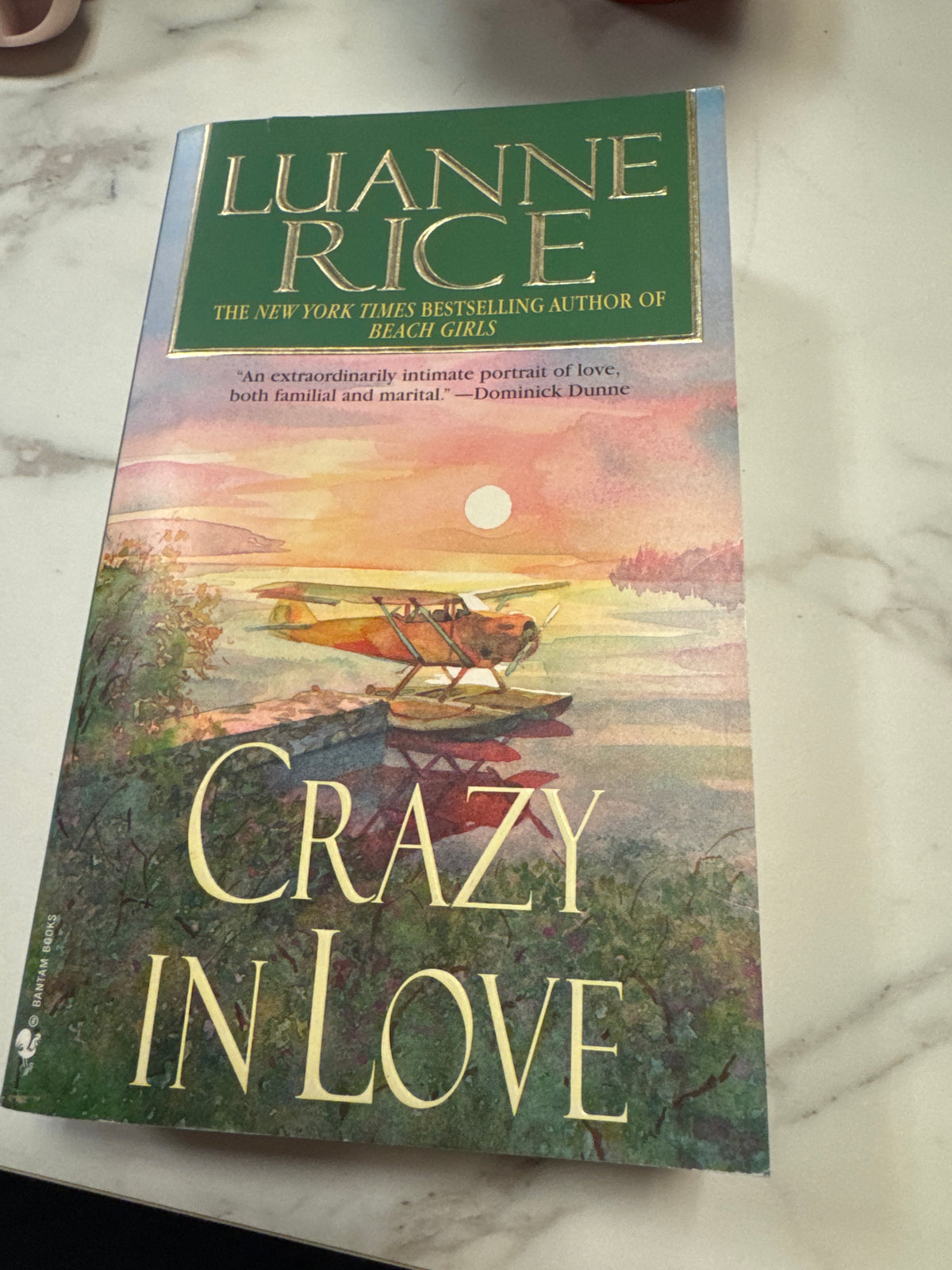 Crazy in Love paperback book by Luanne Rice with watercolor seaplane cover art