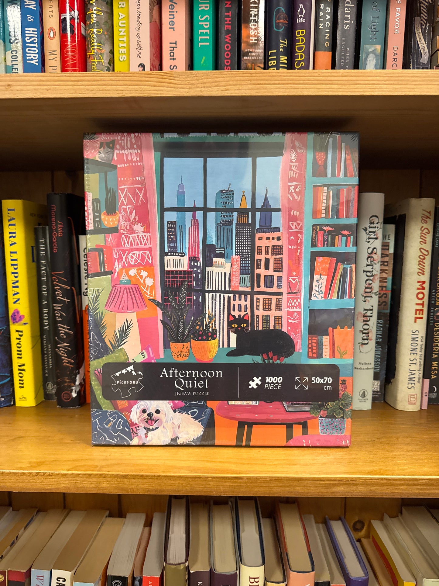 Afternoon Quiet Puzzle