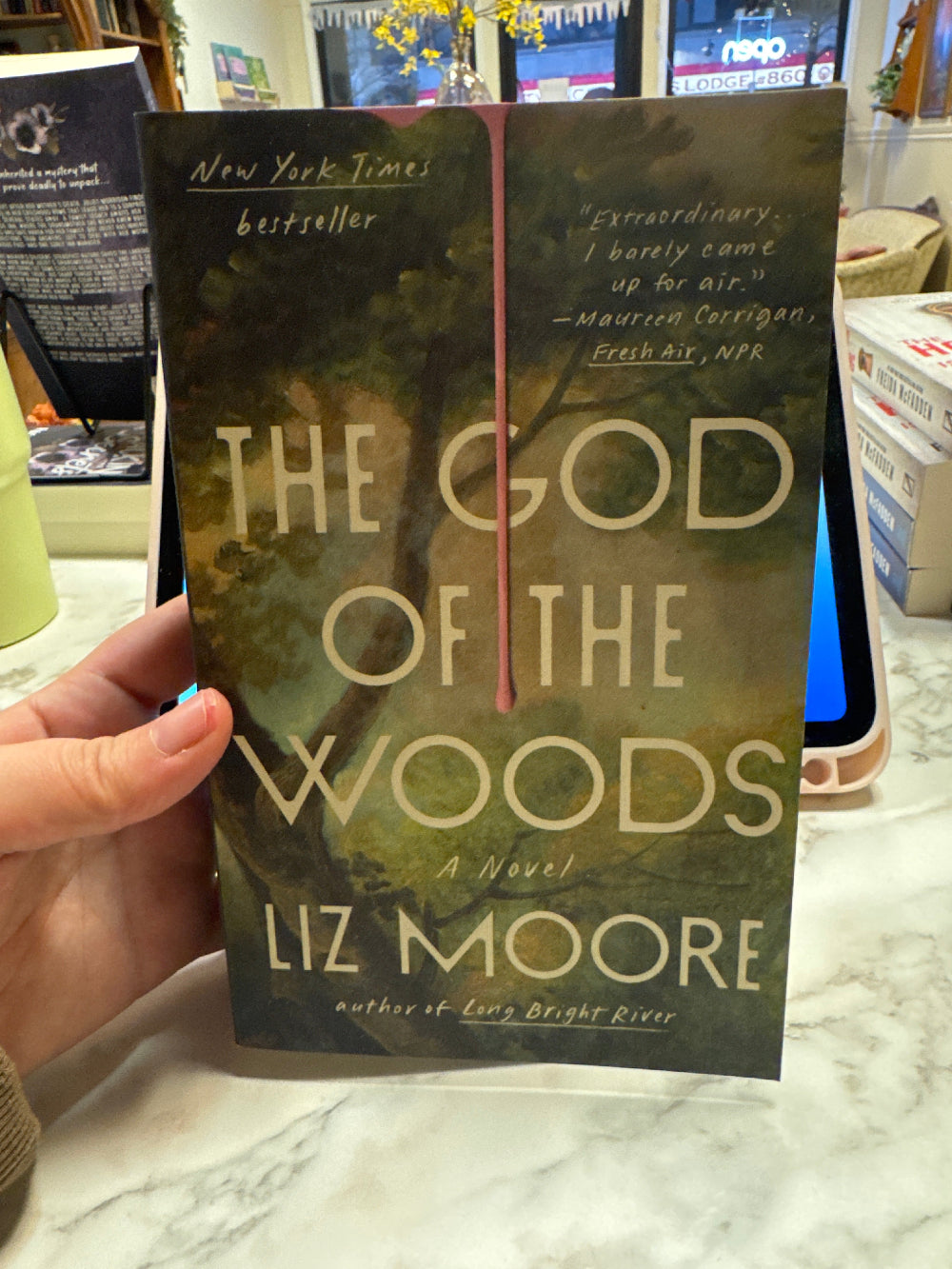 Book titled 'The God of the Woods' by Liz Moore held in a hand with a blurred background.