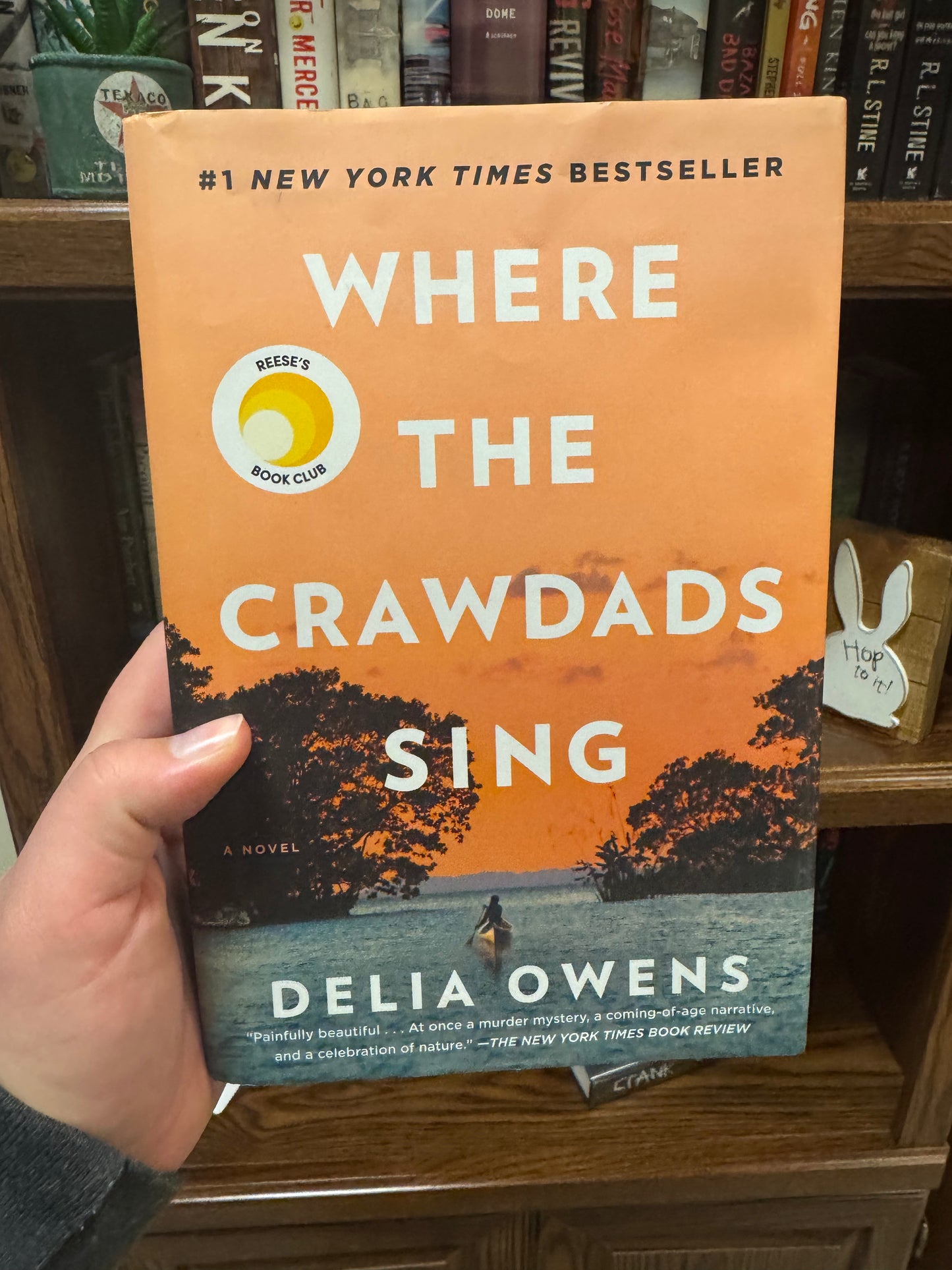 Where The Crawdads Sing
