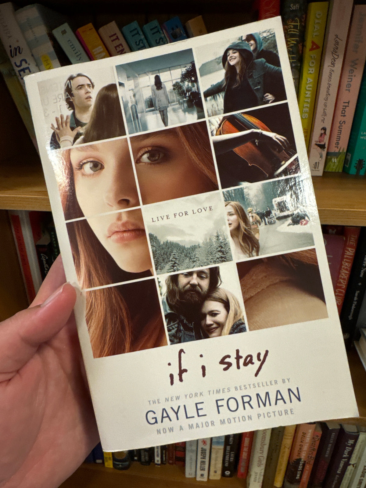 If I Stay paperback book by Gayle Forman with collage cover art