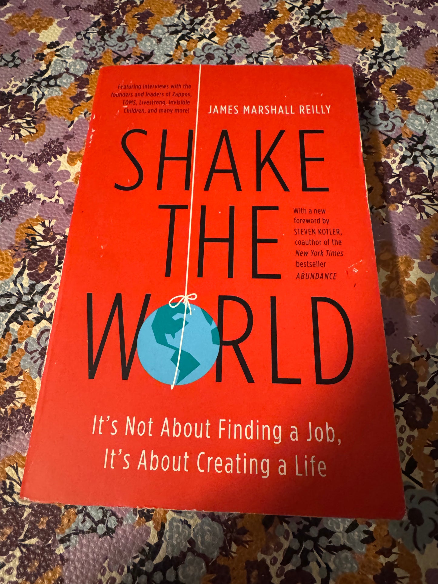 Shake The World hardcover book by James Marshall Reilly with blue globe design