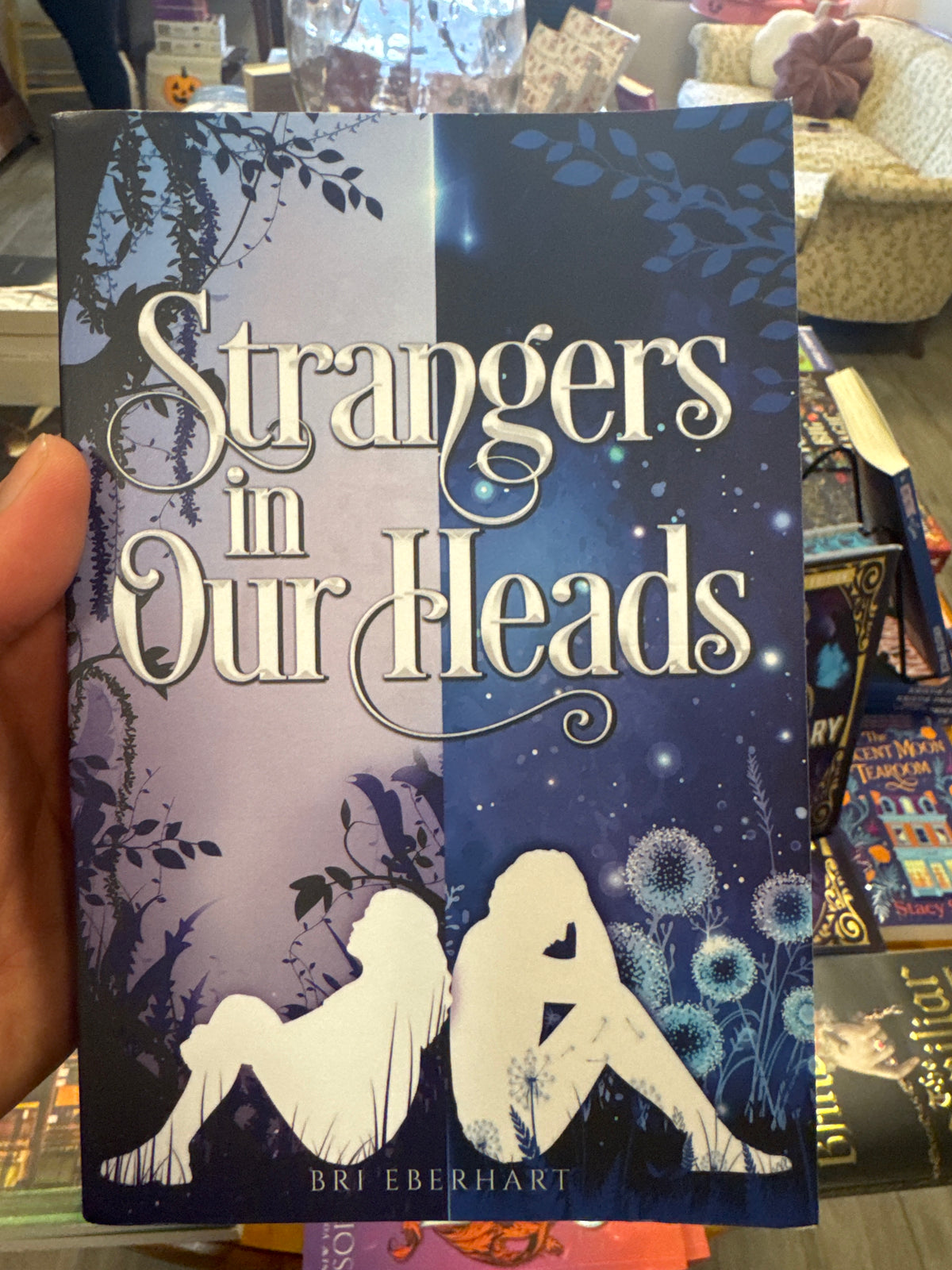 Strangers in Our Heads paperback book by Bri Eberhardt with lavender and blue split cover design