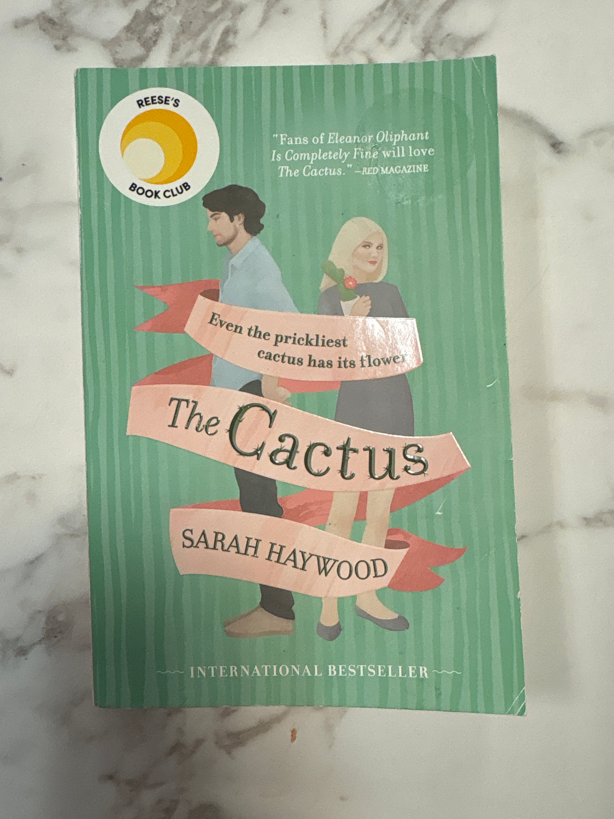 The Cactus book by Sarah Haywood mint green cover with striped design and couple illustration