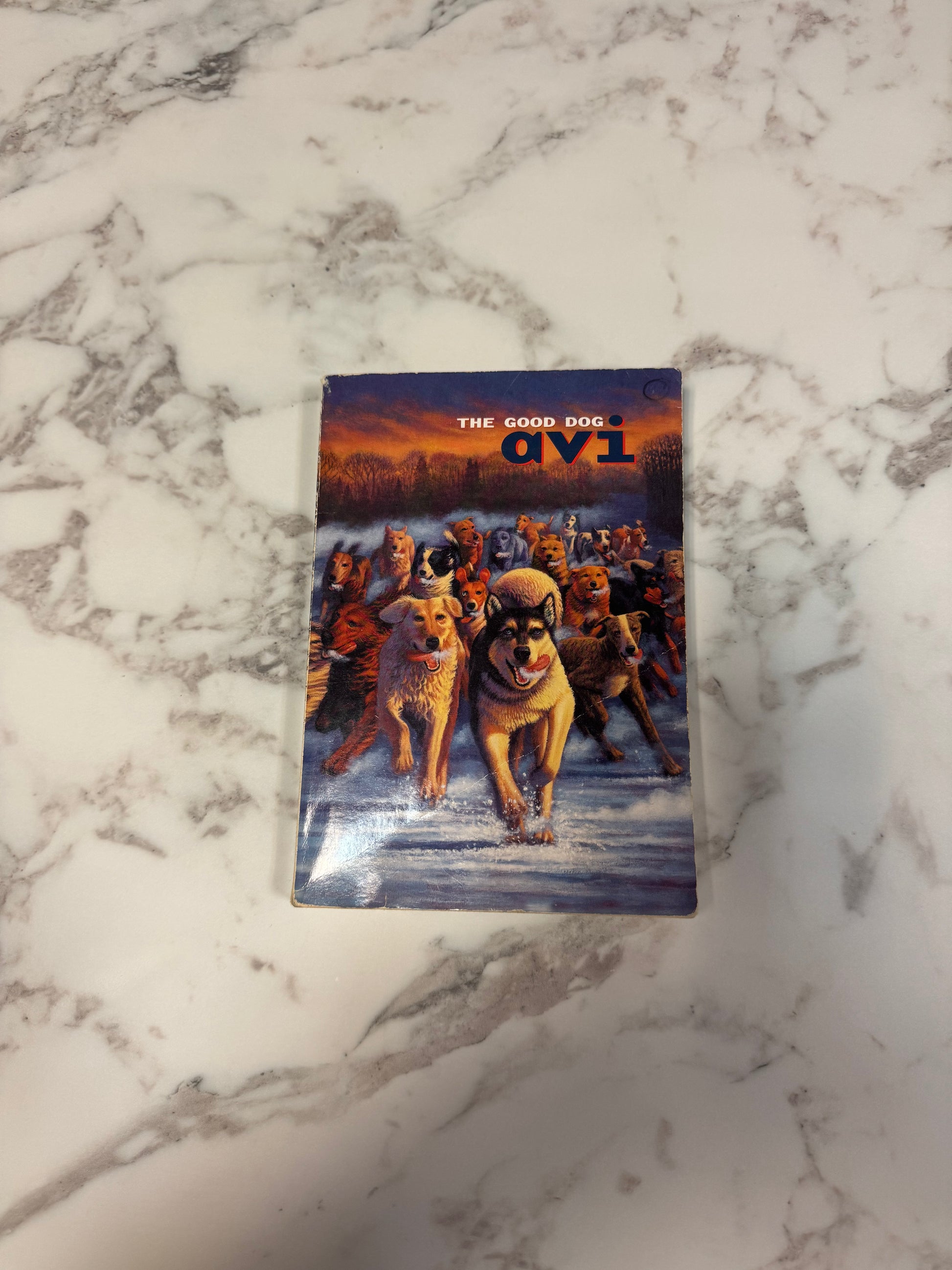 The Good Dog paperback book by Avi with dog pack cover art