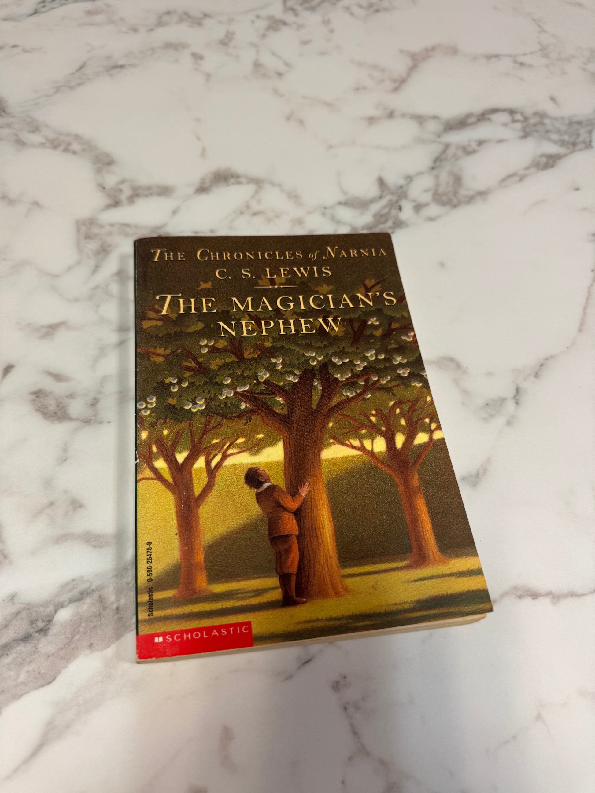The Magician's Nephew paperback by C.S. Lewis with classic cover art