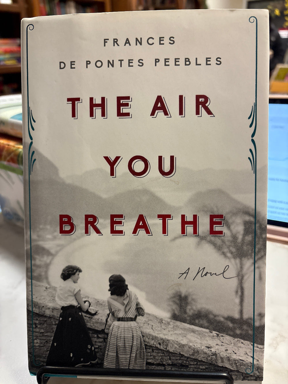 Book cover of 'The Air You Breathe' by Frances de Pontes Peebles with a black and white photo of two people on a tree-lined street.