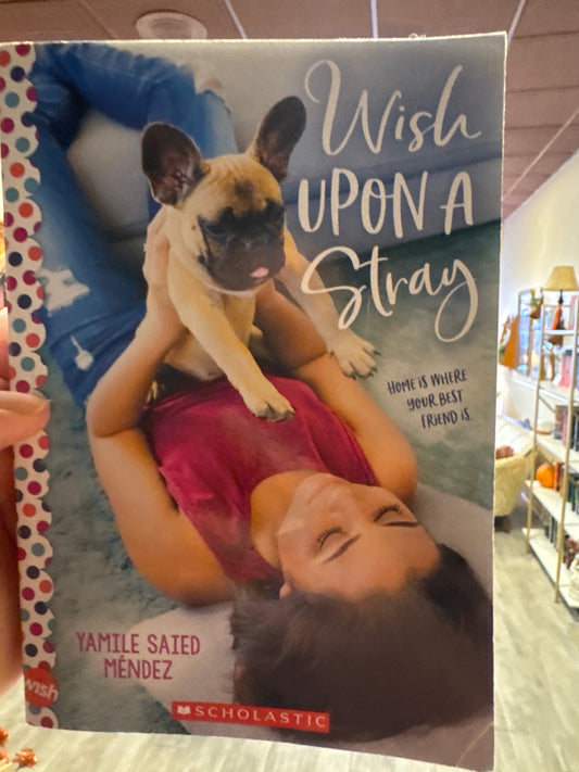 Wish Upon a Stray book cover by Yamile Saied Méndez featuring girl and French bulldog puppy