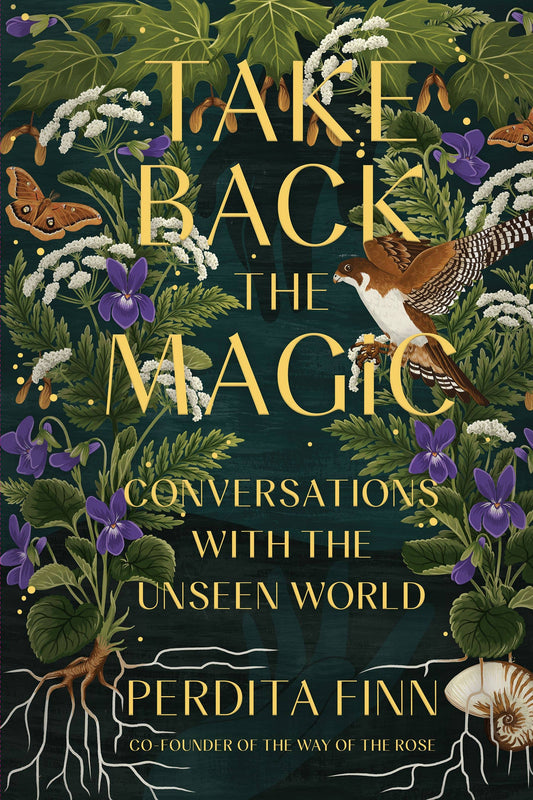 Take Back the Magic (Paperback)